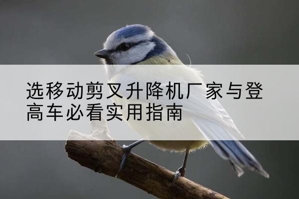 黄山电动升降机厂家-选移动剪叉升降机厂家与登高车必看实用指南