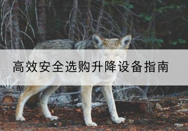 黄山升降货梯厂家推荐-*安全选购升降设备指南